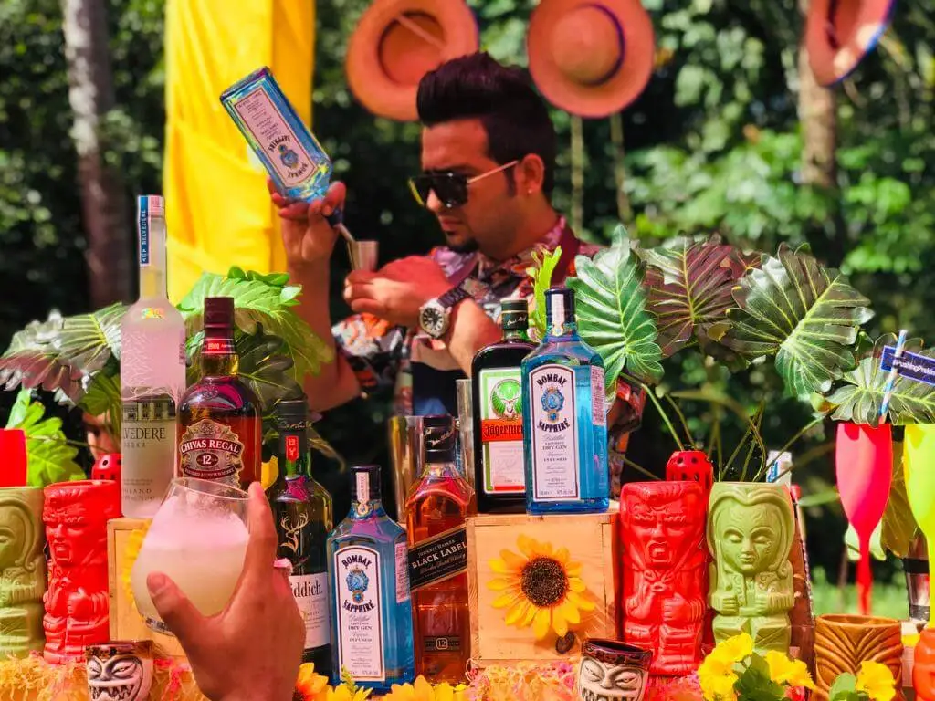 Professional Bartender