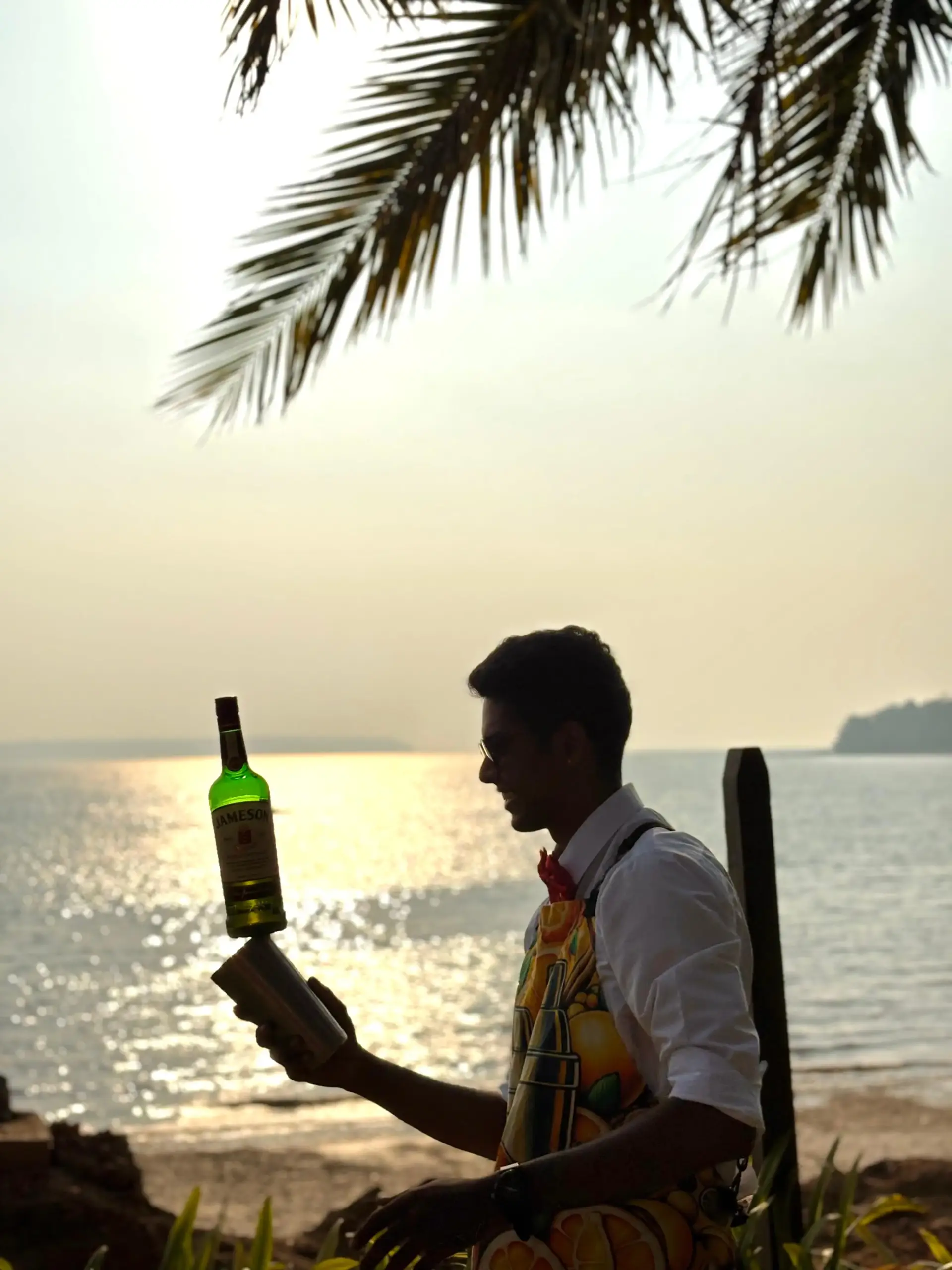 Professional Bartender